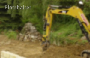 Platzhalter